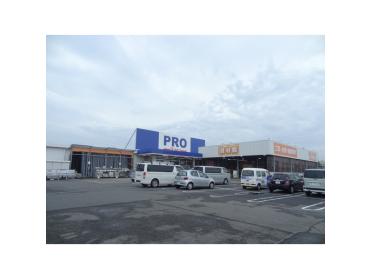 コメリPRO白塚店：318m