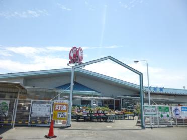 コメリハード＆グリーン河芸店：778m