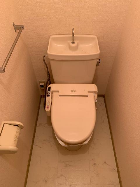 メゾンソフィア トイレ