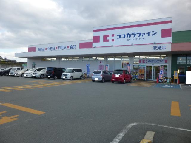 ココカラファイン渋見店：645m