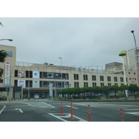チャム：8138m