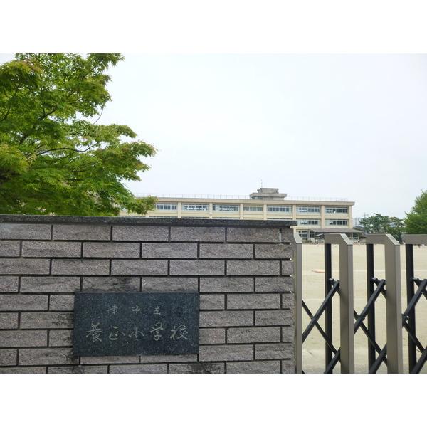 津市立養正小学校：241m