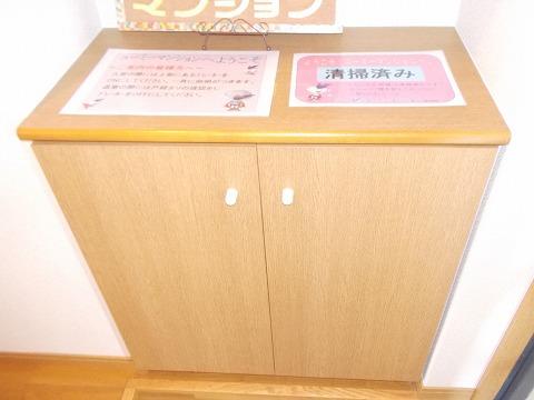 ナウリヴァー（302） 玄関