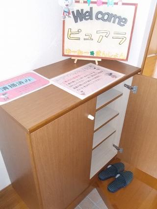 ピュアラ（105） 玄関