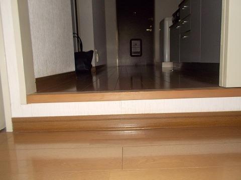 アースウエル（505） 玄関