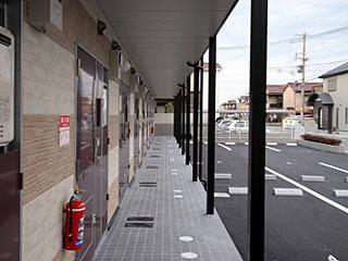 沢野 共有部分