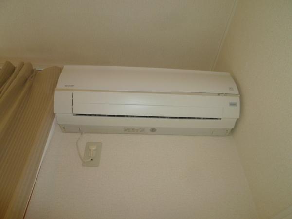 ヴァイオラ その他