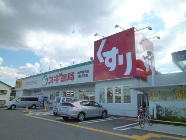 スギ薬局玉津店：1237m