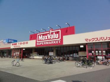 マックスバリュ茶園場店：411m