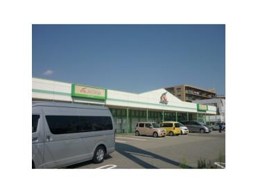 小西屋江井ヶ島店：397m