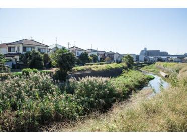 谷八木川左岸線緑地：492m