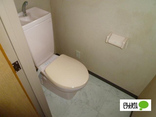 グリシーヌ静徳 トイレ