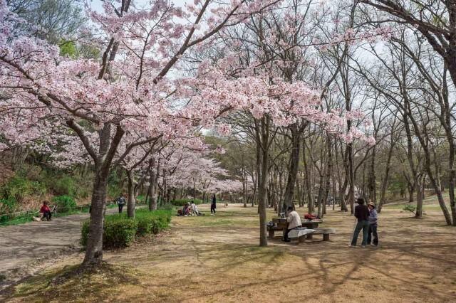 金ケ崎公園：287m