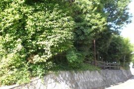 山下町緑地：195m