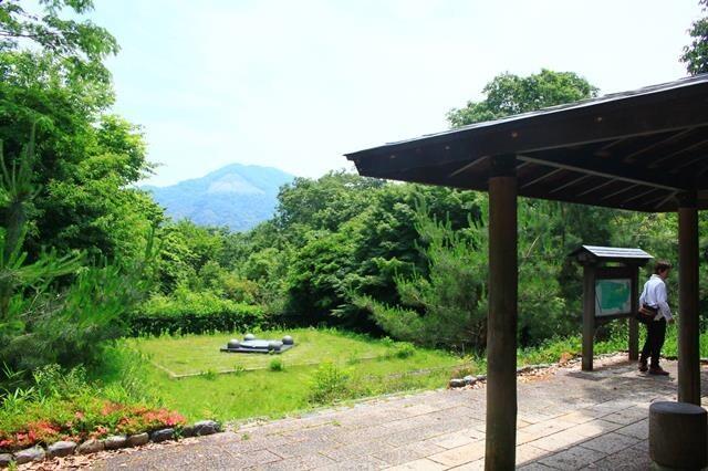 吉田西緑地：979m