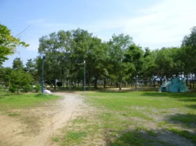 望海浜公園：455m