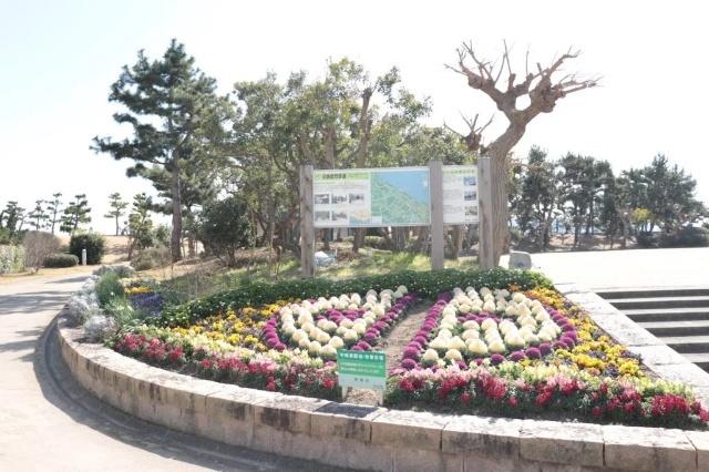 中崎遊園地：586m