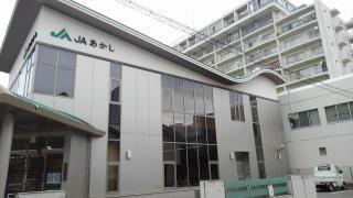 JAあかし明石東支店：63m
