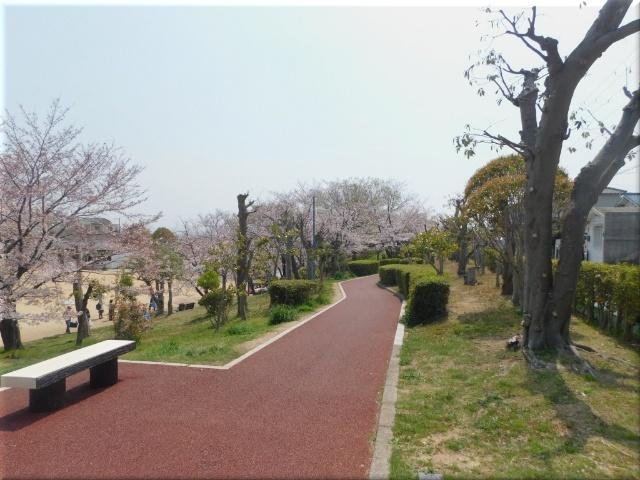 錦が丘中央公園：270m