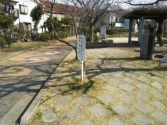 赤根川緑地：673m