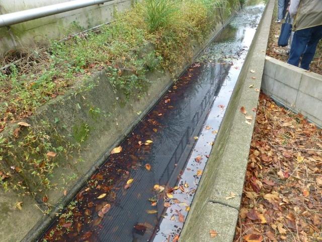 鴨谷堀割緑地：262m