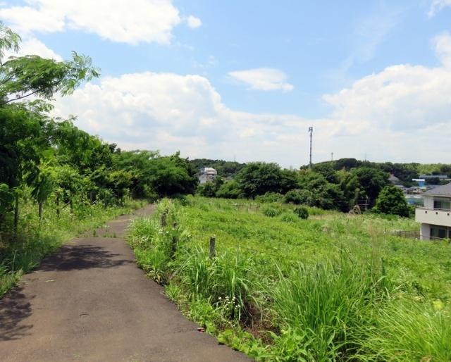 吉田東緑地：192m