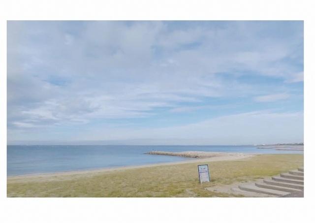 屏風ヶ浦海岸・八木海岸：600m