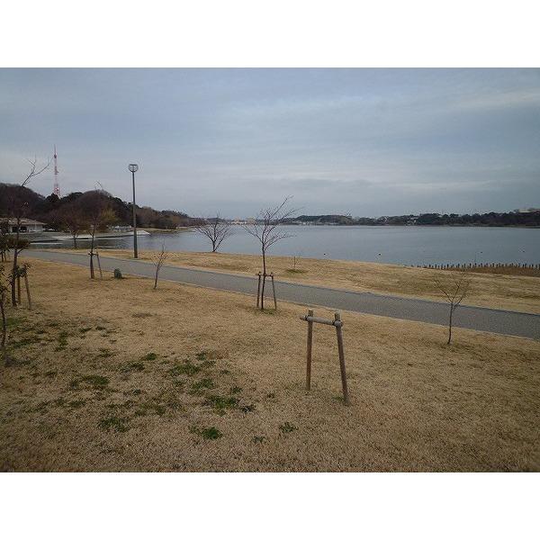 西岸中央公園：3196m