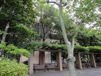 新川緑地：773m