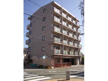 南面道路で日当良