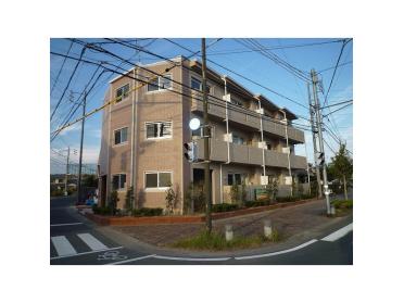 日当たり良好