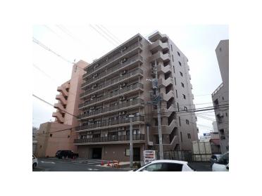 ゴミ出場