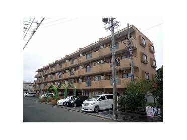 南道路の南ベランダ