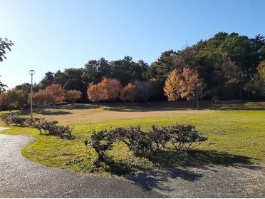 四ツ池公園：800m