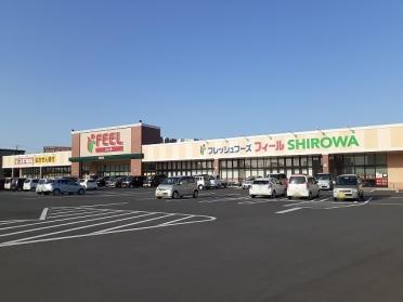 フィール SHIROWA店：700m