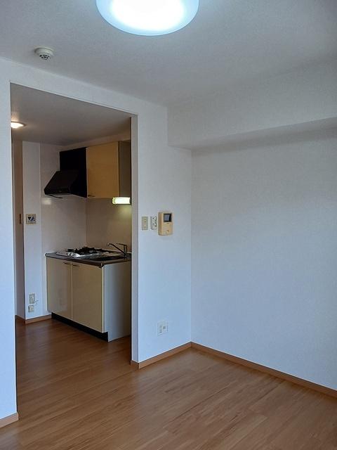 Ｙｉ　アイリス（305） その他部屋・スペース
