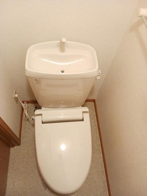Ｙｉ　アイリス（305） トイレ
