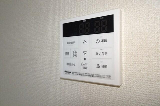 アムール元魚（302） その他