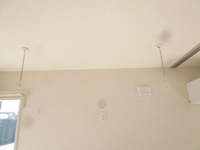Ｒｏｙａｌ　Ｗｉｎ’ｓ（101） 部屋画像