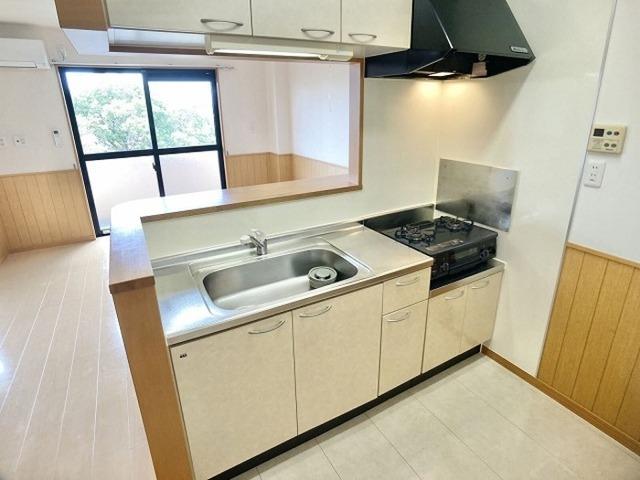 Ｄ−ｒｏｏｍ高丘西（302） 部屋画像