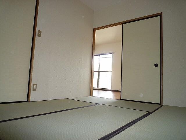 カルカソンヌ その他