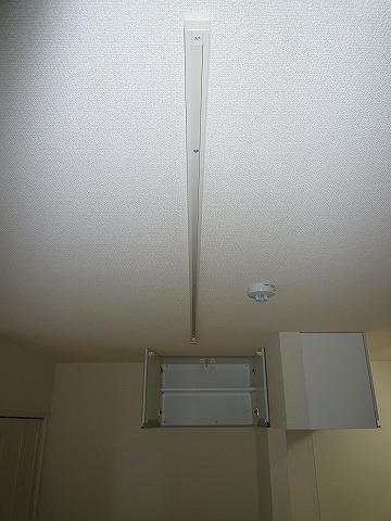 ＣＡＳＡ　ＧＡＲＯＦＡＮＯ その他