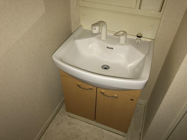 ベルキーハイツ 洗面