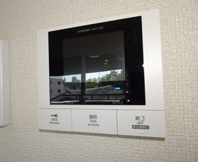 アムール元魚（303） その他