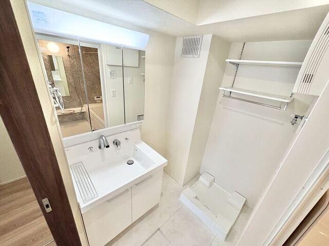 D-Hills佐藤Ⅲ（301） 洗面