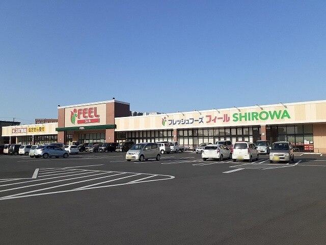 フィールSHIROWA店：550m