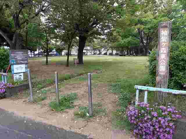 袖紫ヶ森東公園：105m