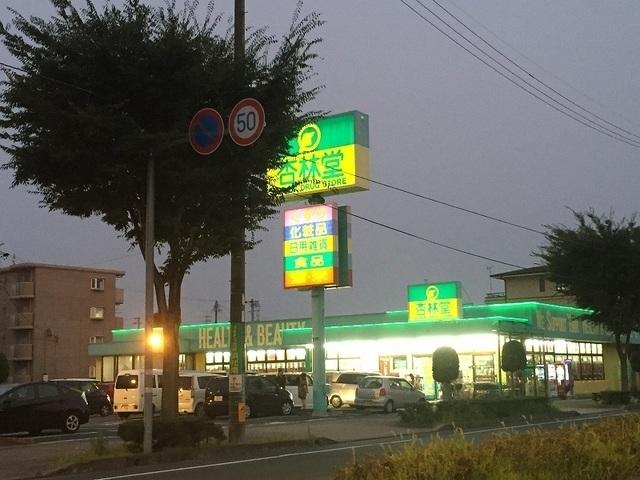 杏林堂ドラッグストア向宿店：800m