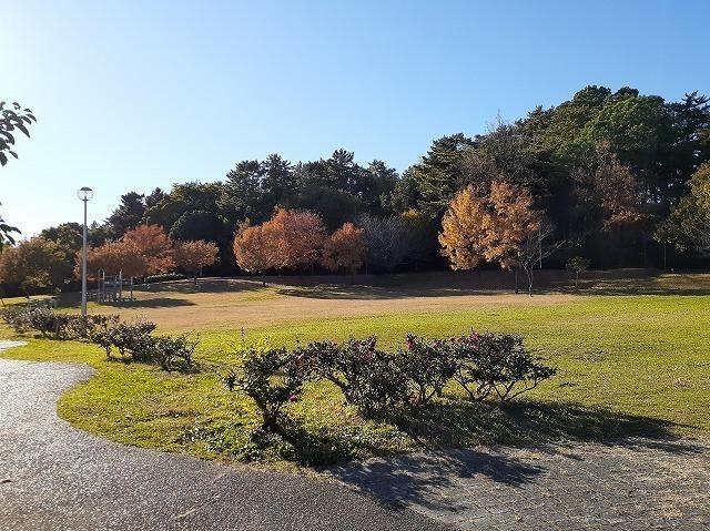 四ツ池公園：600m