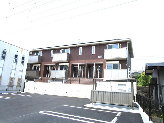 Glicina（202） 外観